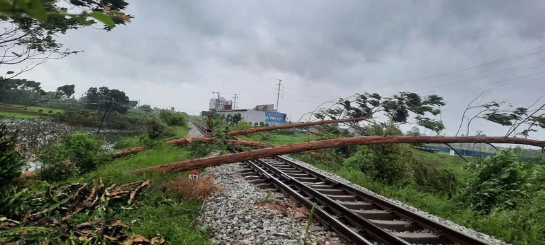 [Live] Bão số 3 đổ bộ vào các tỉnh phía bắc gây gió mạnh, mưa lớn, 4 người đã tử vong ảnh 8