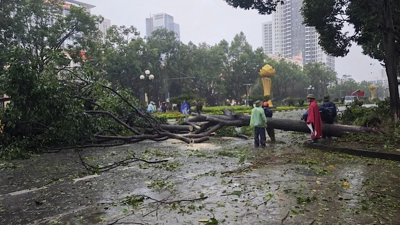 [Live] Bão số 3 đổ bộ vào các tỉnh phía bắc gây gió mạnh, mưa lớn, 4 người đã tử vong ảnh 12