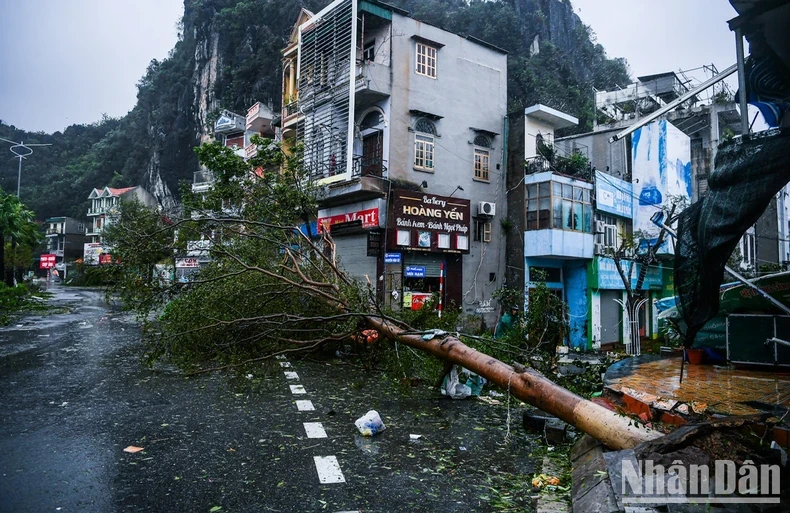 [Live] Bão số 3 đổ bộ vào các tỉnh phía bắc gây gió mạnh, mưa lớn, 4 người đã tử vong ảnh 4