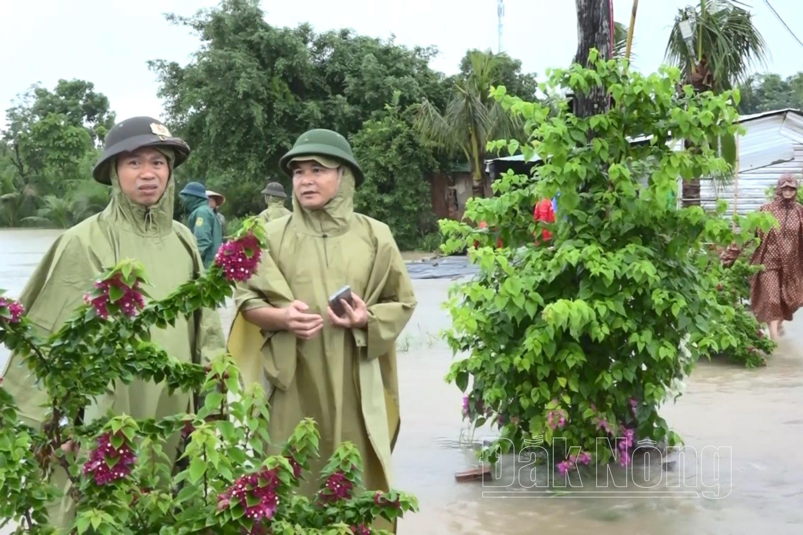 Ông Ngô Quốc Phong, Phó Chủ tịch UBND huyện Cư Jút chỉ đạo các ngành, các địa phương tiếp tục ứng trực, tập trung làm vệ sinh, bảo đảm thông thoáng dòng chảy, sẵn sàng ứng phó với các trận mưa tiếp theo