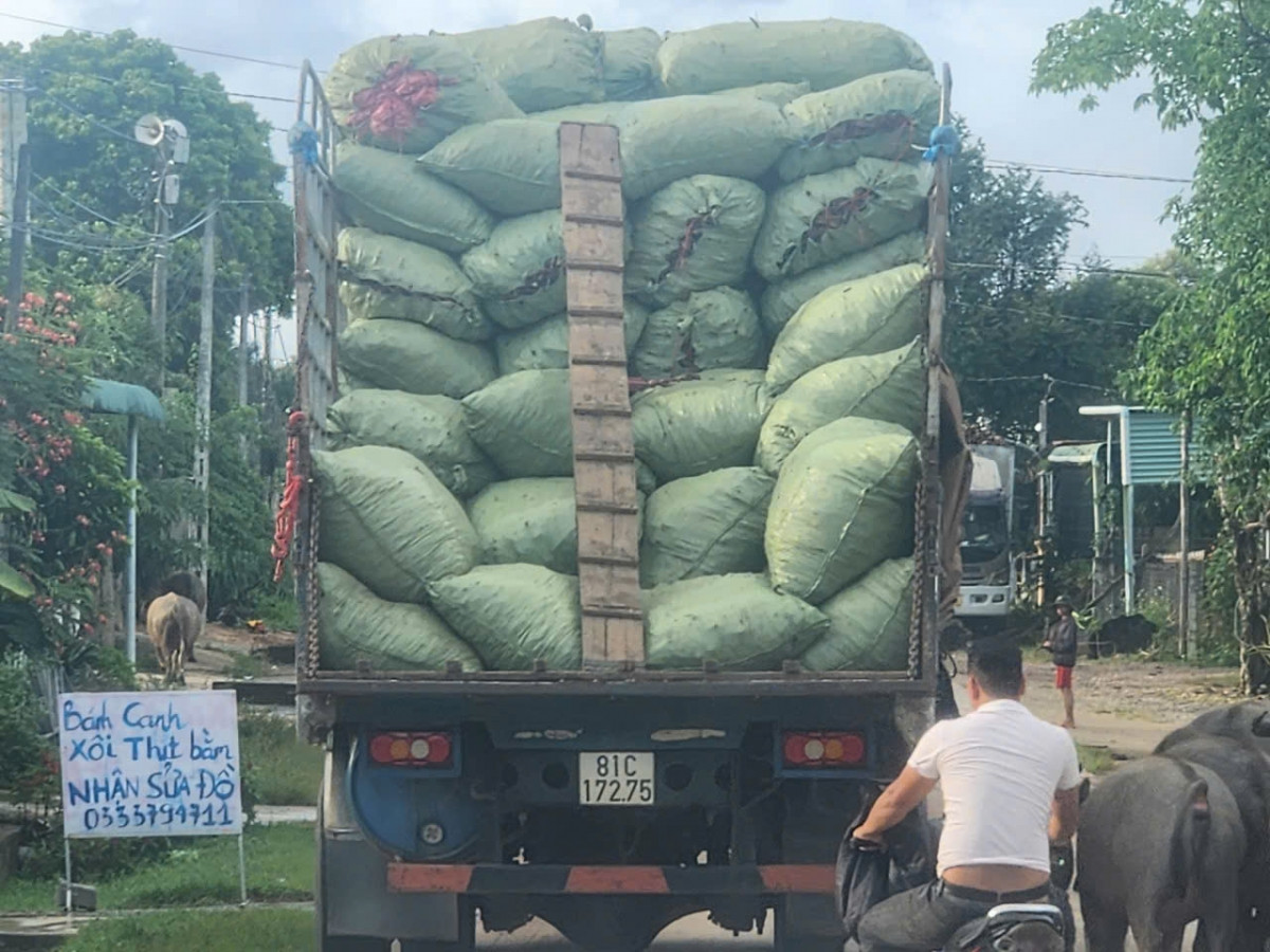 Mang Yang (Gia Lai): Phát triển Giao thông bền vững bảo vệ môi trường cần nói không với xe quá tải