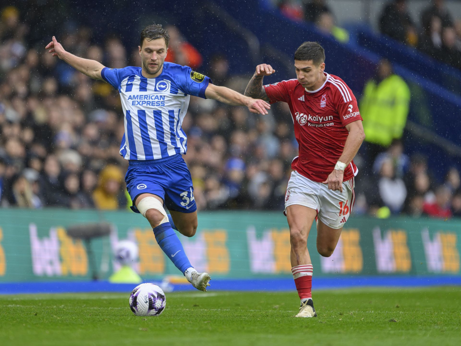 Brighton & Hove Albion vs Nottingham Forest Prediction and Betting Tips | September 22nd 2024