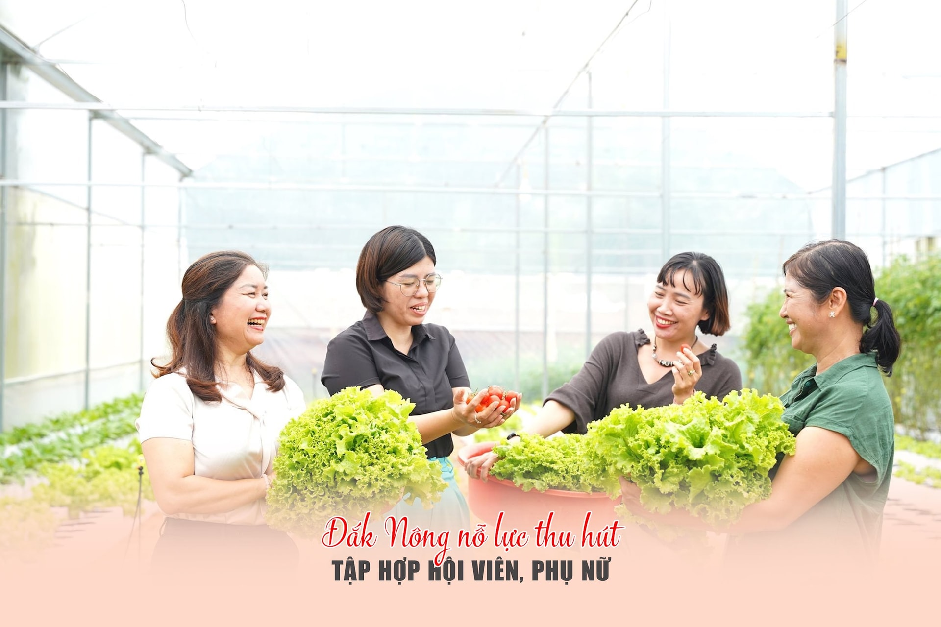 Đắk Nông nỗ lực thu hút, tập hợp hội viên, phụ nữ