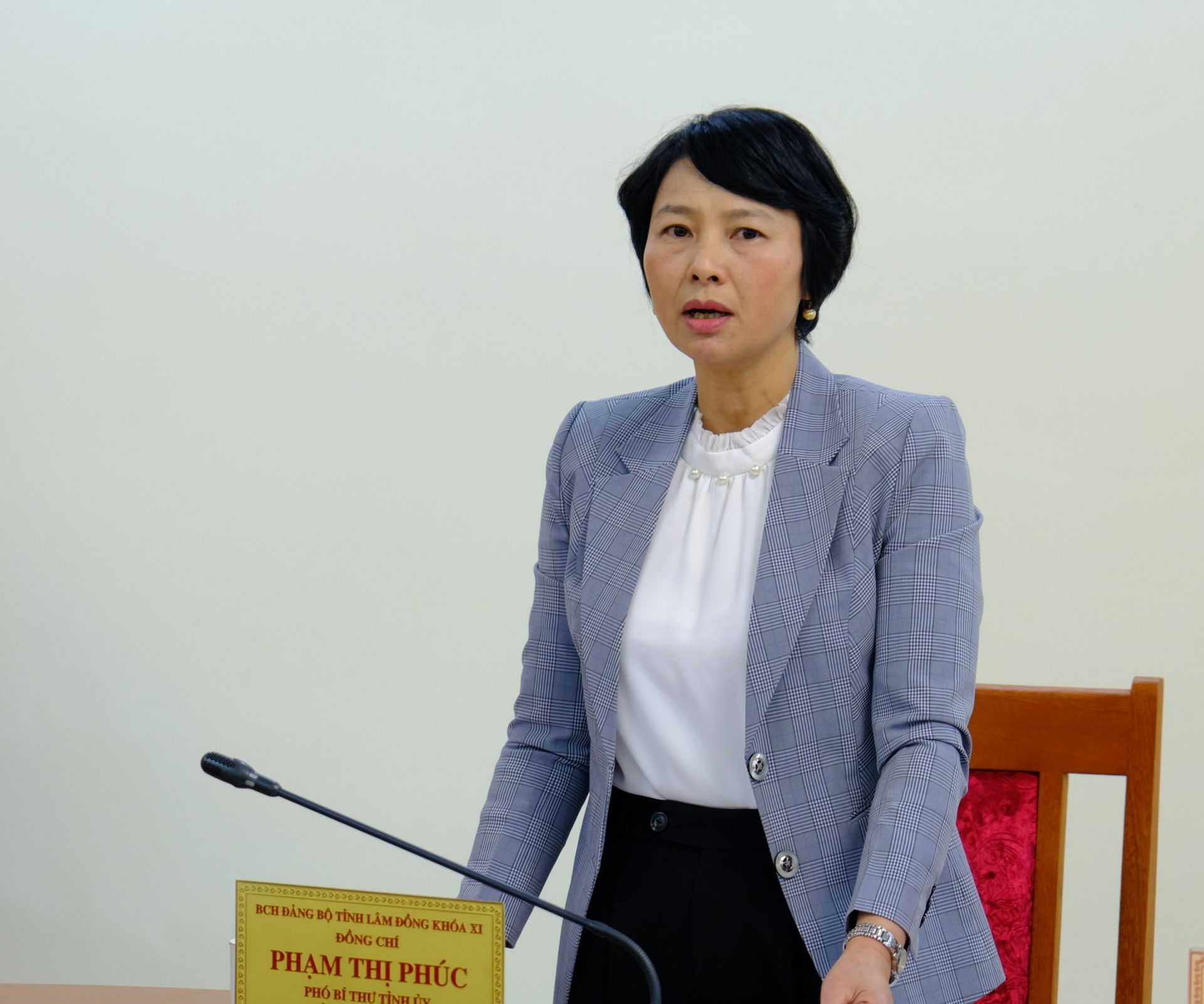 Đồng chí Phạm Thị Phúc - Phó Bí thư Tỉnh ủy, Chủ tịch HĐND tỉnh, Trưởng Ban Dân vận Tỉnh ủy báo cáo những đổi mới trong công tác dân vận thời gian qua