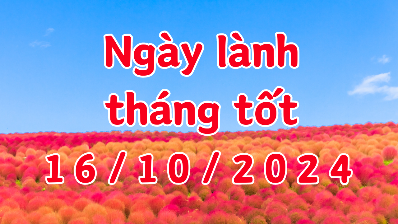 Xem ngày