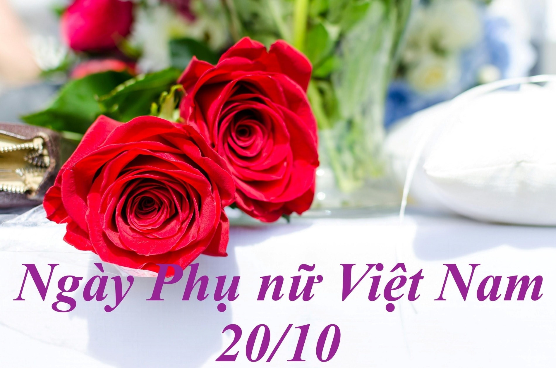 anh-2-ngay-phu-nu-viet-nam-20-10.jpg