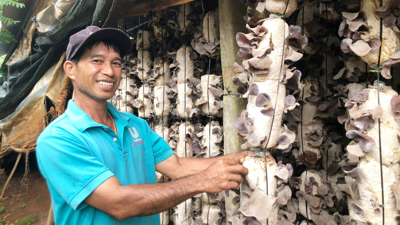 Ông Vũ Thành Long đang chuẩn bị ép nước cho trại nấm mèo