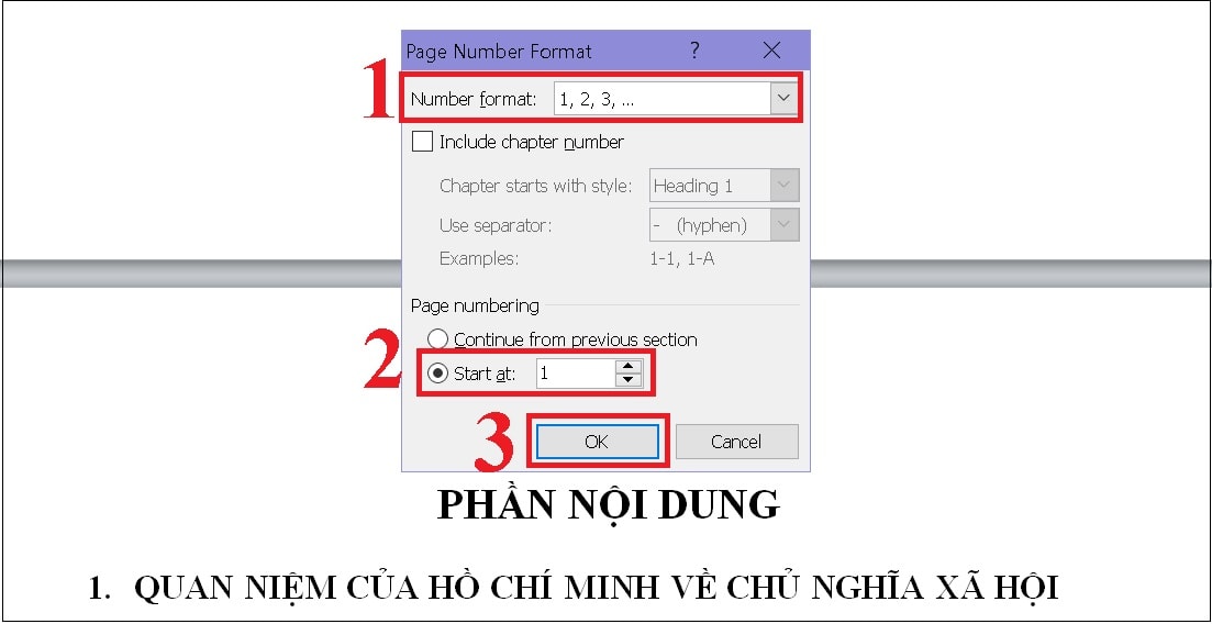 Màn hình sẽ xuất hiện với hộp Format page numbers 