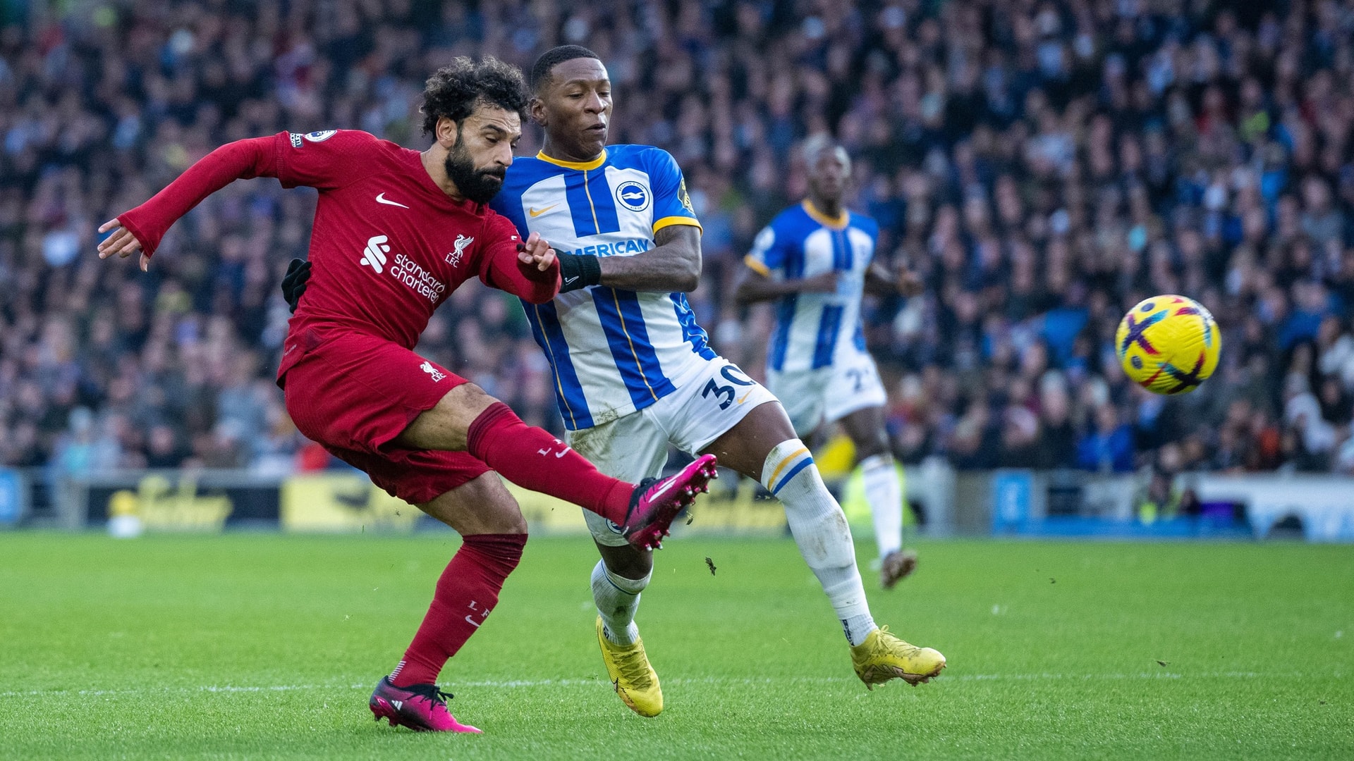 Link xem trực tiếp bóng đá Brighton vs Liverpool (20h30, 29/1), cúp FA vòng 4