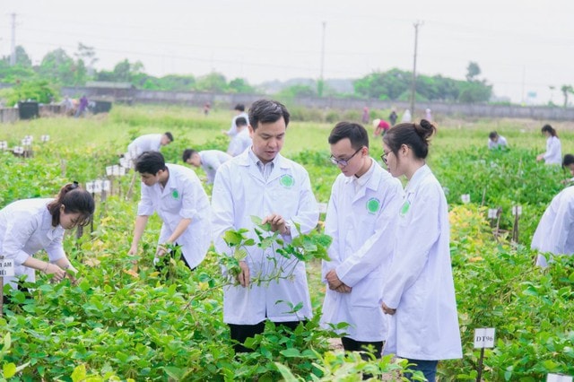 Những điểm mới cụ thể trong dự thảo Luật Nhà giáo trình Quốc hội cho ý kiến lần đầu- Ảnh 3.