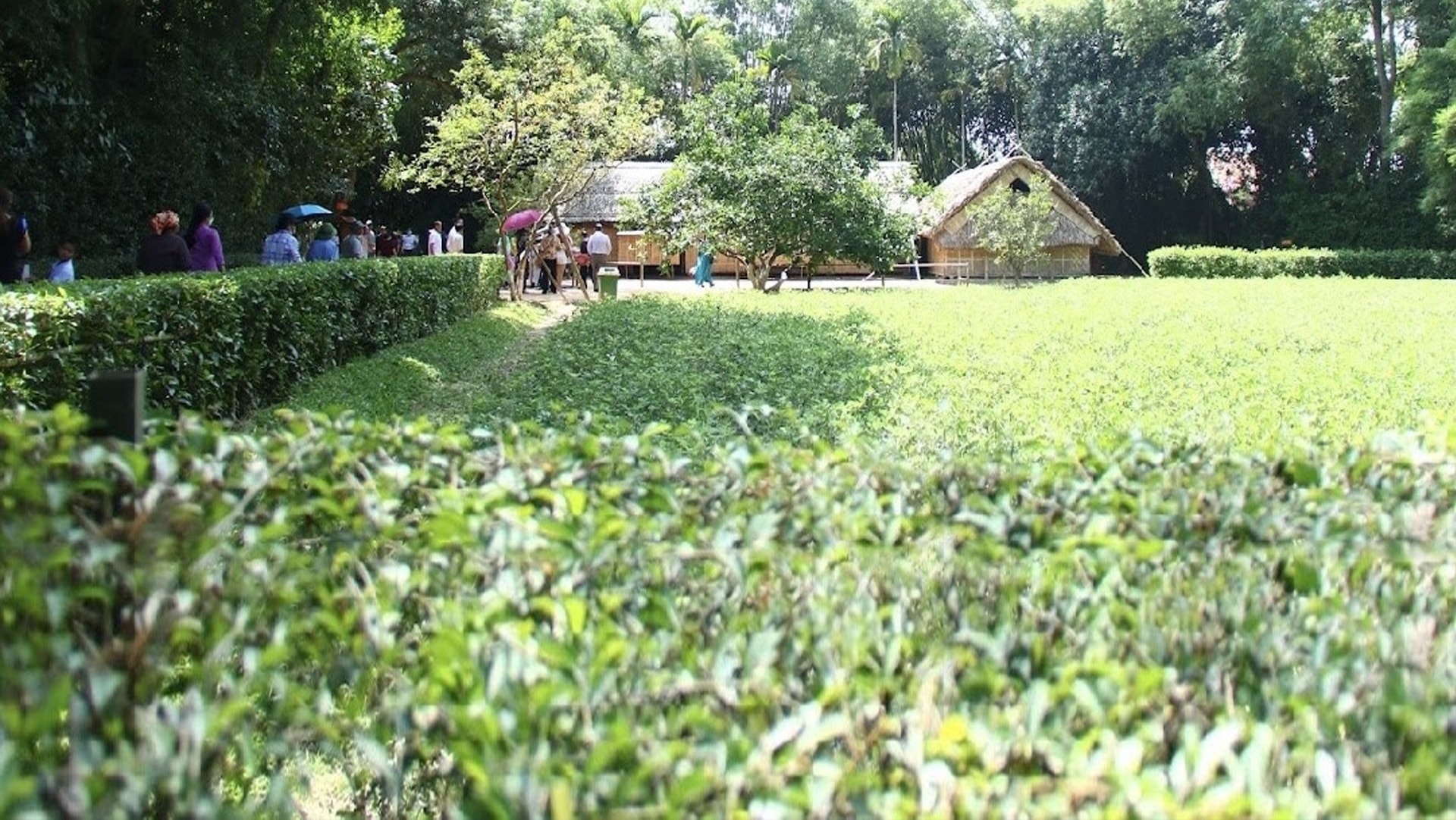 Kể chuyện Bác Hồ