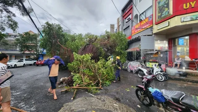 Bảo Lộc (Lâm Đồng) ngập sâu sau mưa lớn - Ảnh 2.