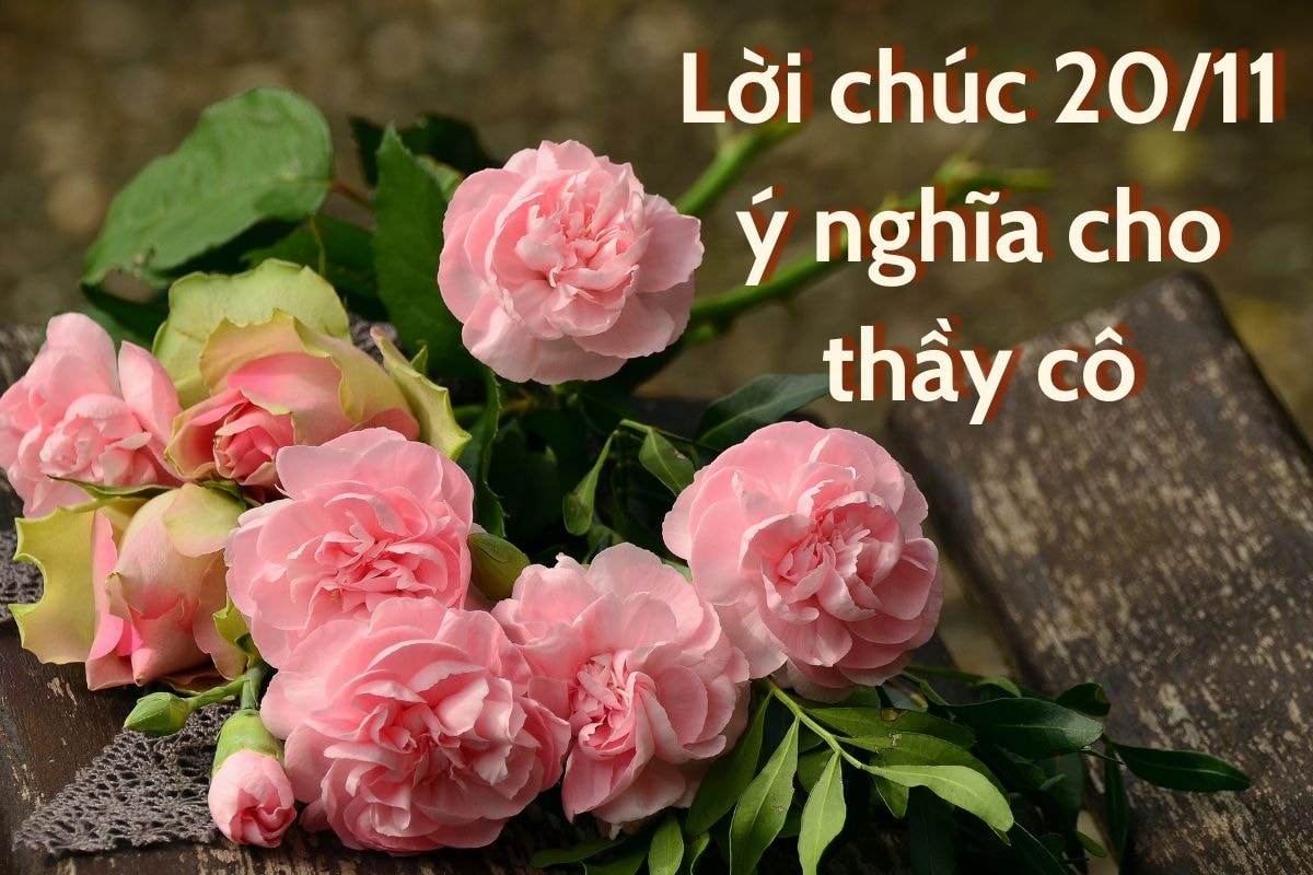 50+ Lời chúc 20/11 hay, ý nghĩa, ngắn gọn dành cho thầy cô | TIKI