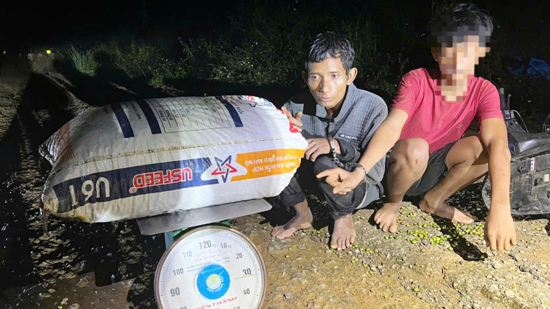 K Briu (bìa trái) và K L. bị công an bắt quả tang cùng tang vật là 33 kg cà phê vừa hái trộm