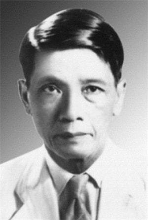   Giáo sư Đặng Thai Mai (1902-1984)  