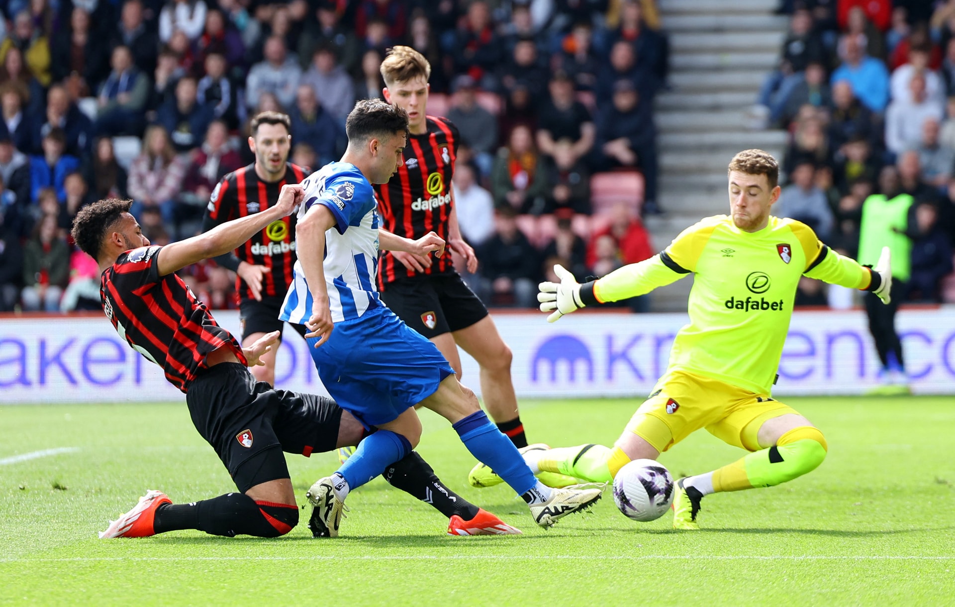 Bournemouth outclass Brighton to set club PL points record | Reuters