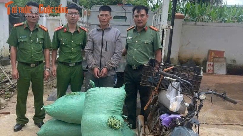 Đắk Nông: Giữ bình yên cho mùa thu hoạch cà phê - Hình 2 Dak Nong: Giu binh yen cho mua thu hoach ca phe-Hinh-2
