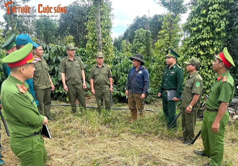 Đắk Nông: Giữ bình yên cho mùa thu hoạch cà phê - Hình 5 Dak Nong: Giu binh yen cho mua thu hoach ca phe-Hinh-5