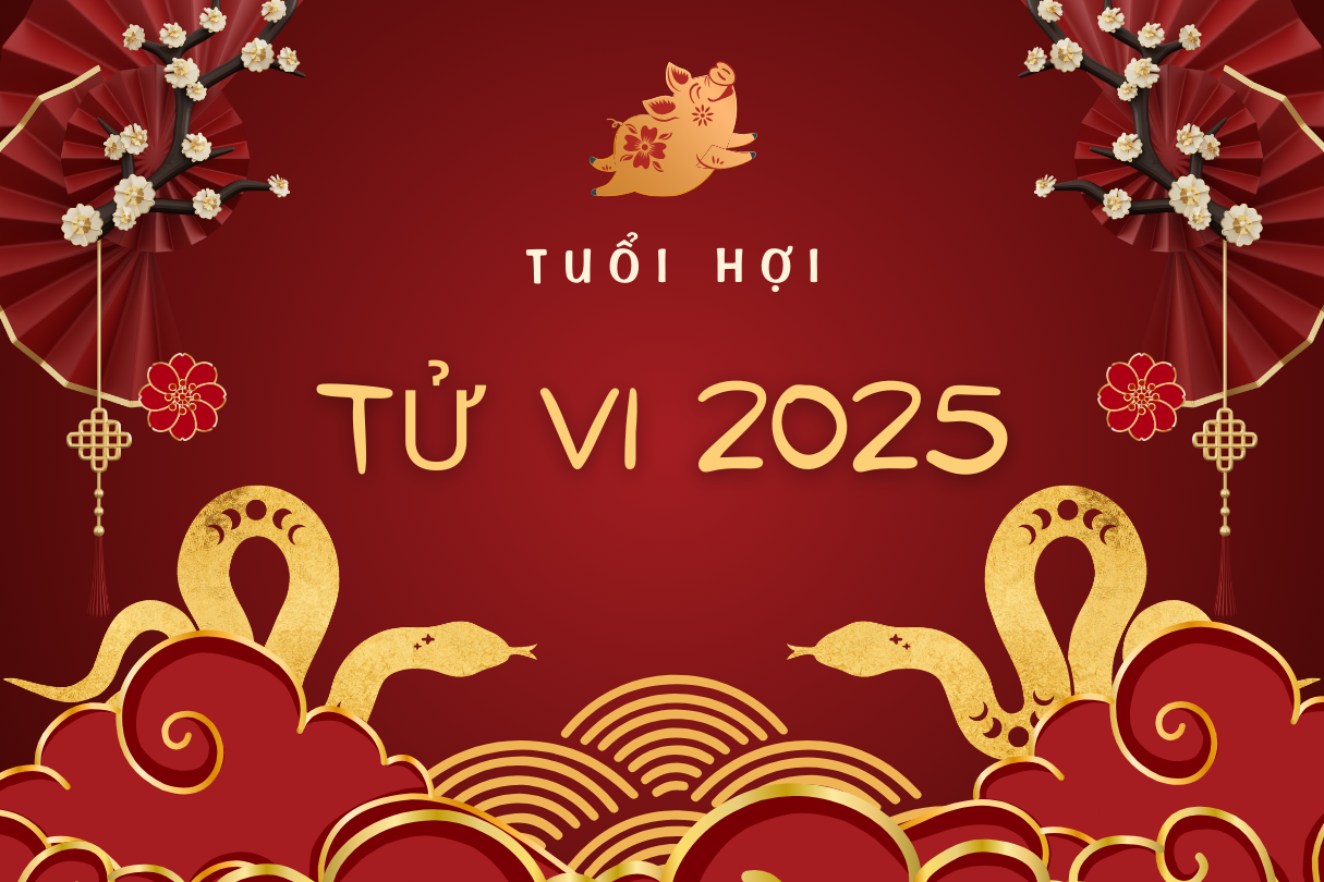 Tử vi năm 2025 tuổi hợi