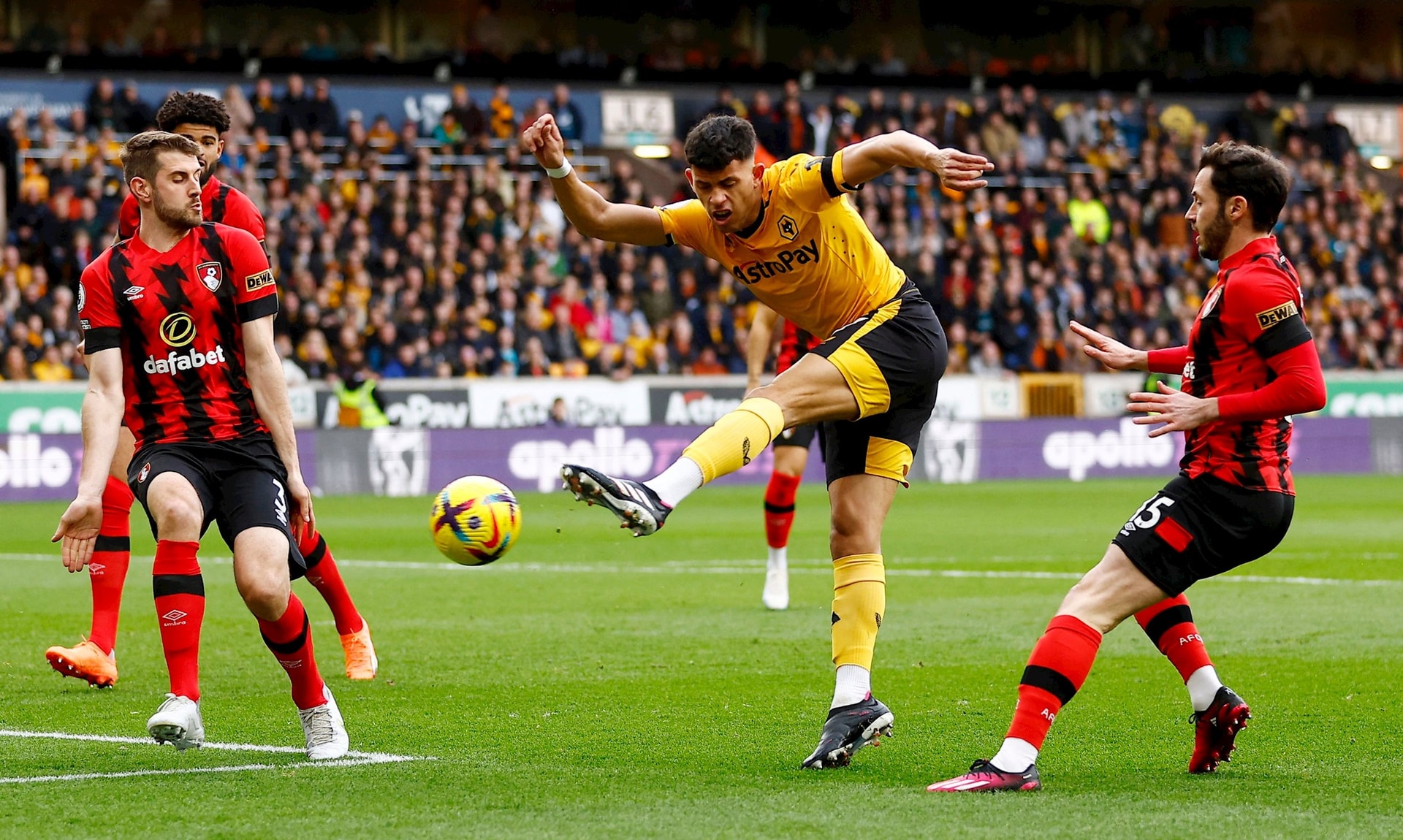 Wolves vs Bournemouth ngày 30-11 Dự đoán tỷ lệ thắng từ thành tích, phong độ đối đầu