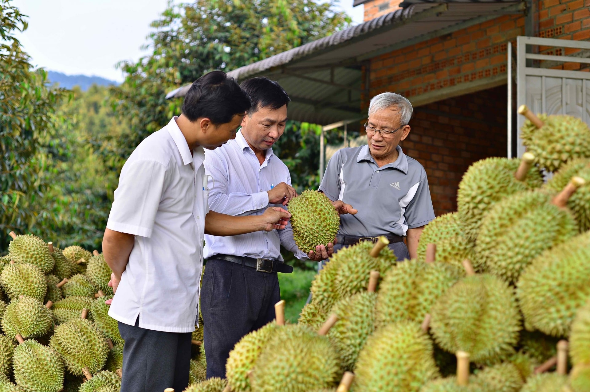 Ban Thường vụ Tỉnh ủy yêu cầu việc sáp nhập phải đảm bảo không làm xáo trộn, ảnh hưởng đến đời sống, sản xuất, sinh hoạt của Nhân dân