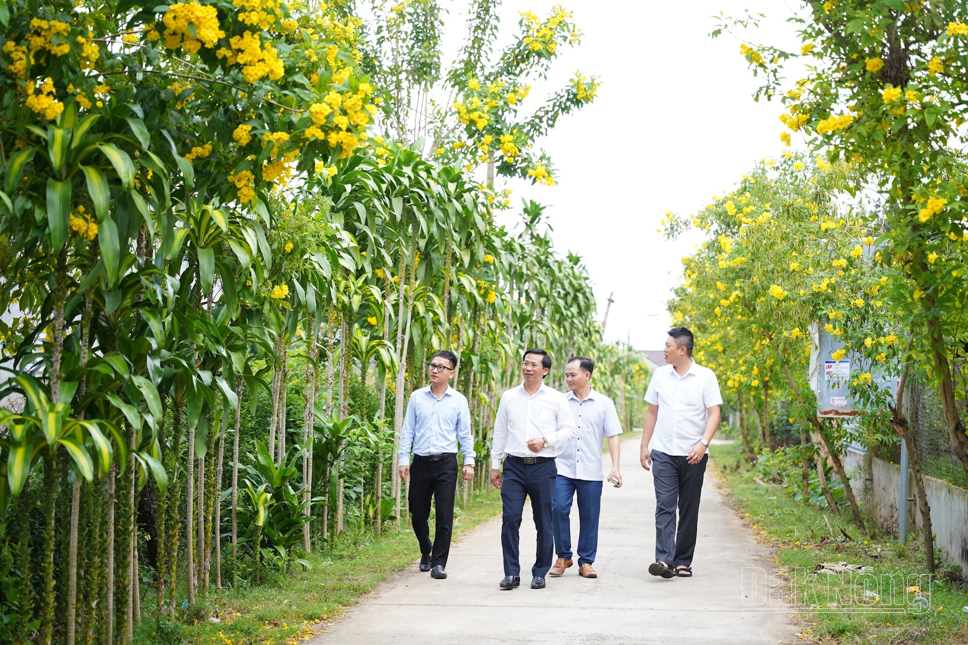 Tuyến đường vào khu dân cư nông thôn mới kiểu mẫu của thôn 7, xã Tâm Thắng, huyện Cư Jút