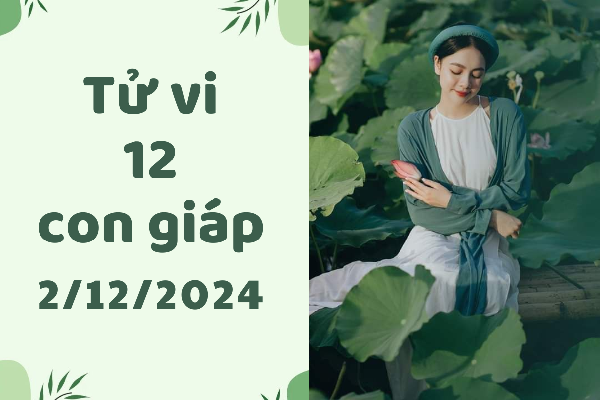 Tử vi 12 con giáp ngày 2/12/2024: Mùi tỏa sáng, Dậu thiếu tập trung 