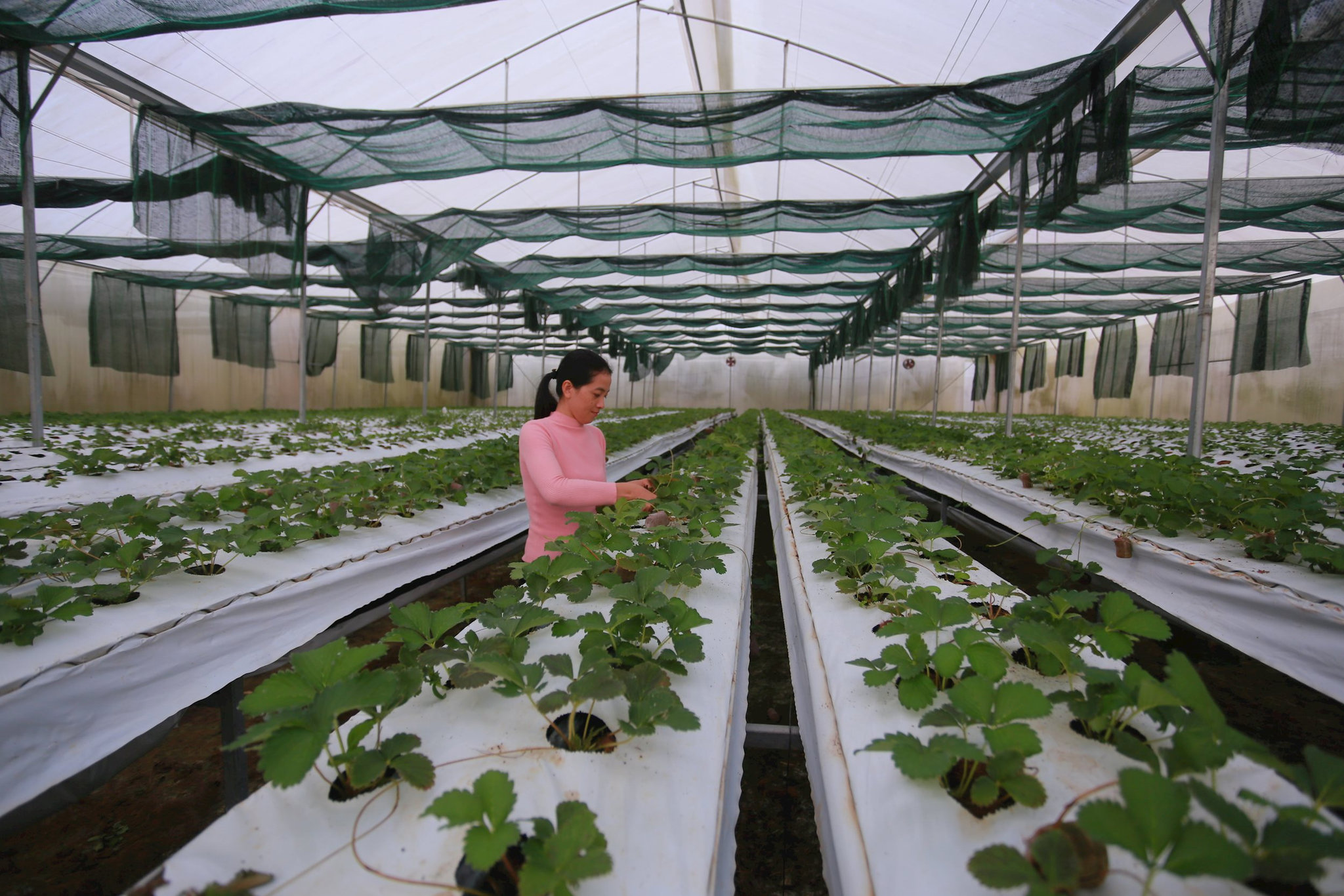 Đắk Nông và xu hướng phát triển du lịch nông nghiệp