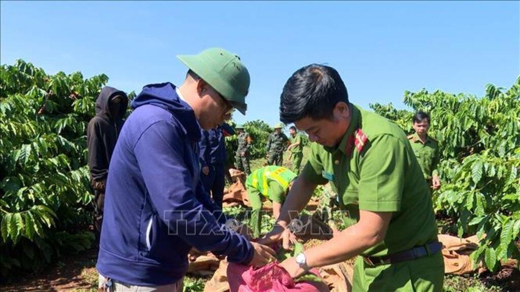 Giáo dục, răn đe và cảm hóa những thanh thiếu niên vi phạm pháp luật.