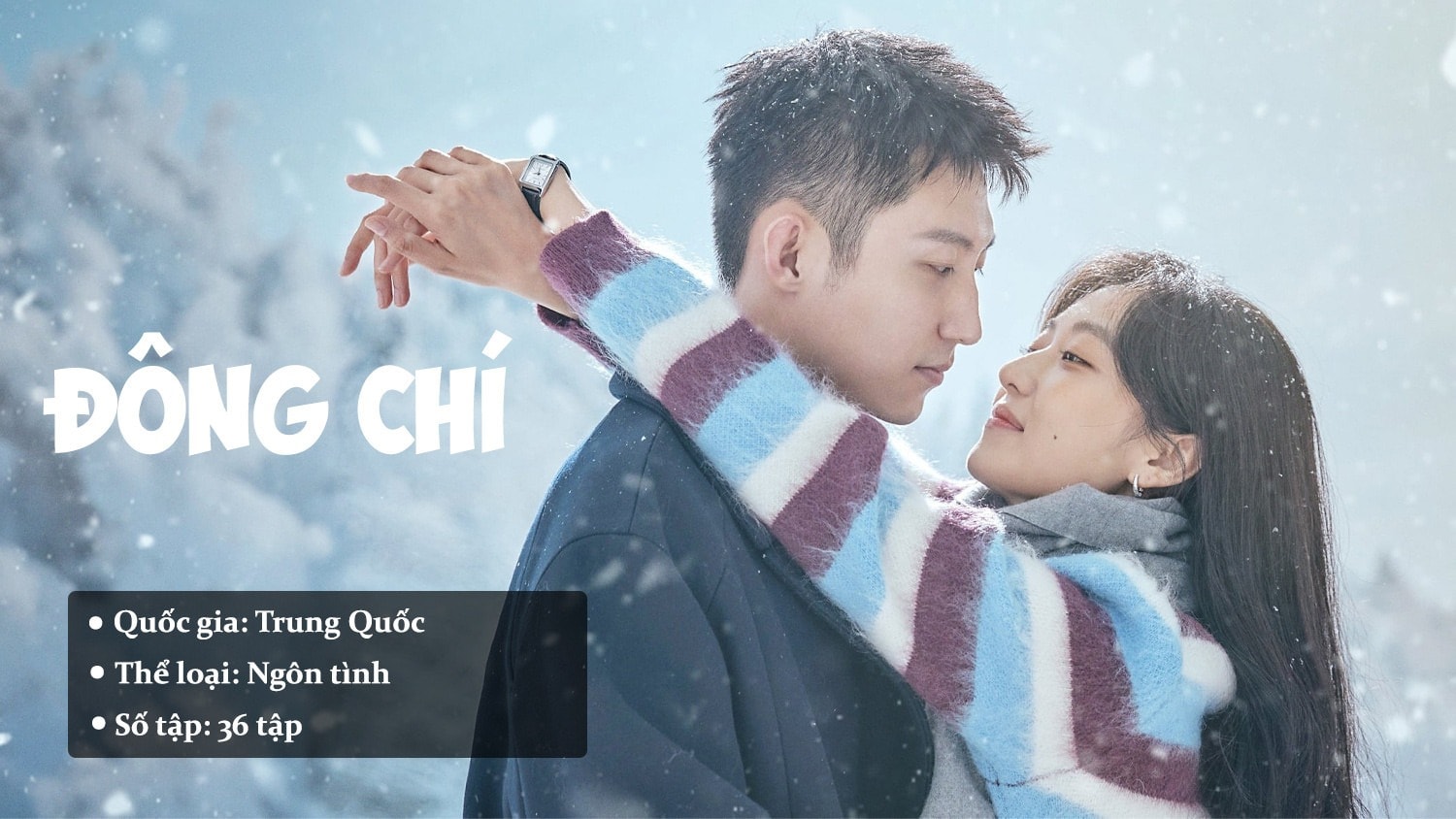 Đông Chí (Love Song in Winter) Thông tin và lịch chiếu phim