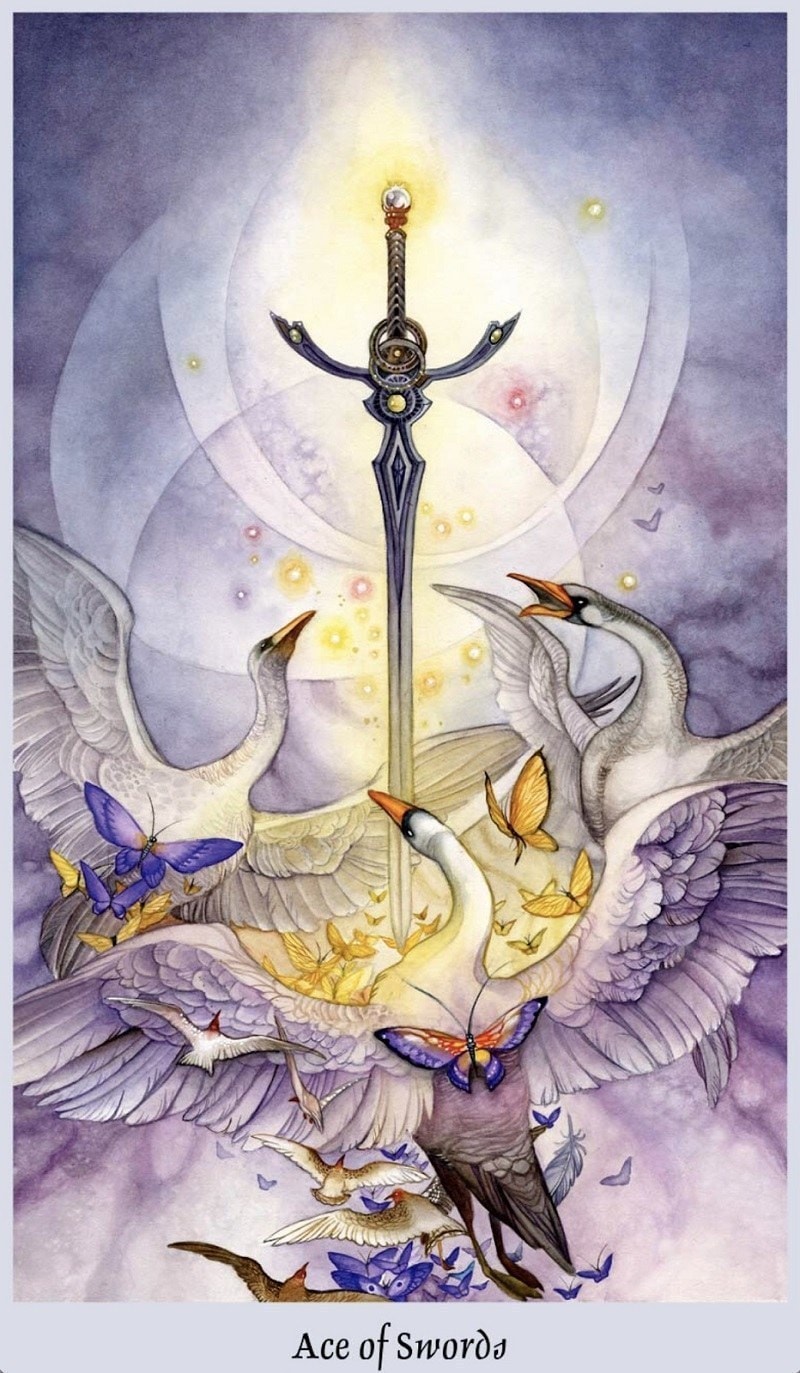 Ace of Swords là gì? Ý nghĩa lá bài Ace of Swords trong Tarot - JobsGO Blog