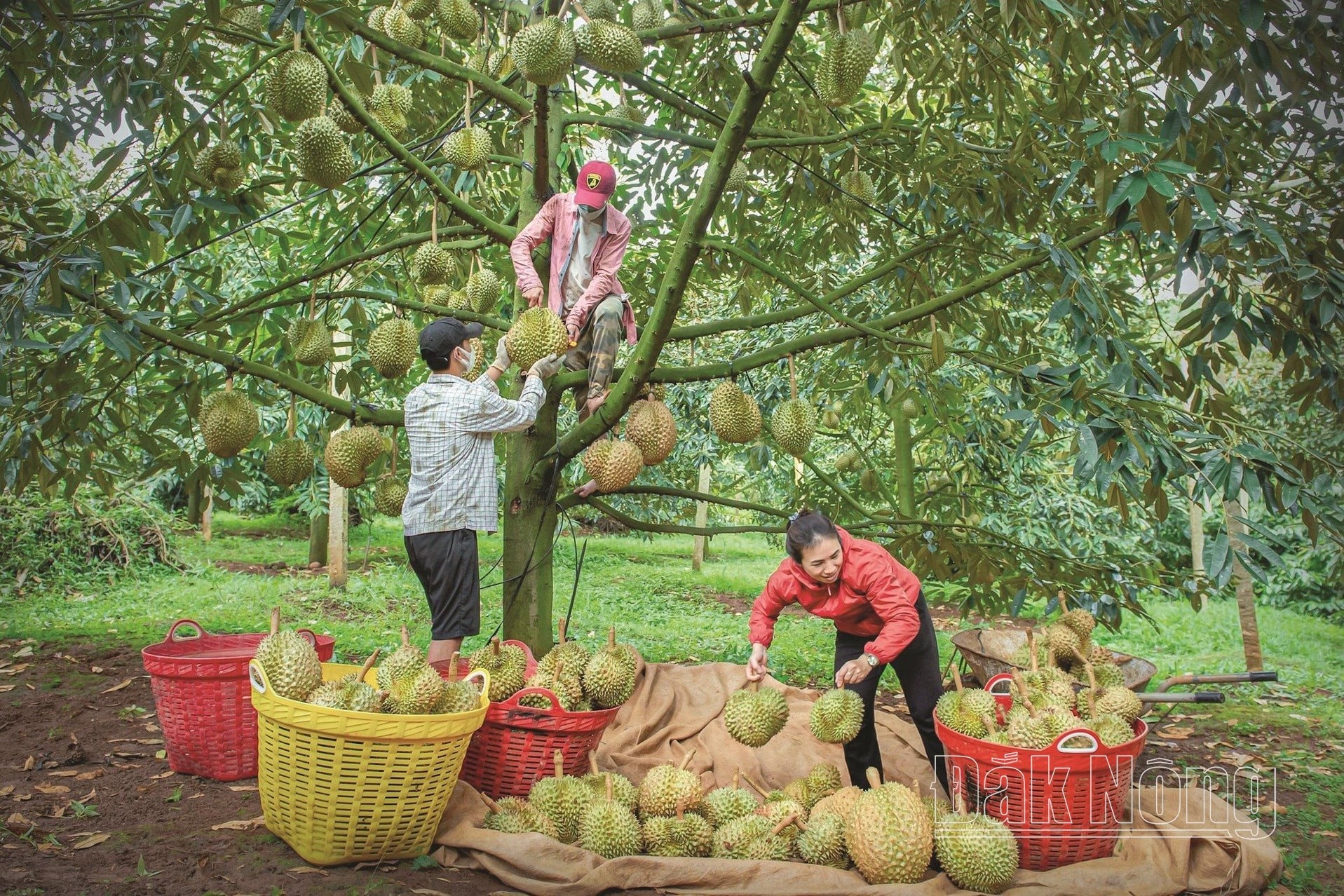 riêng biệt