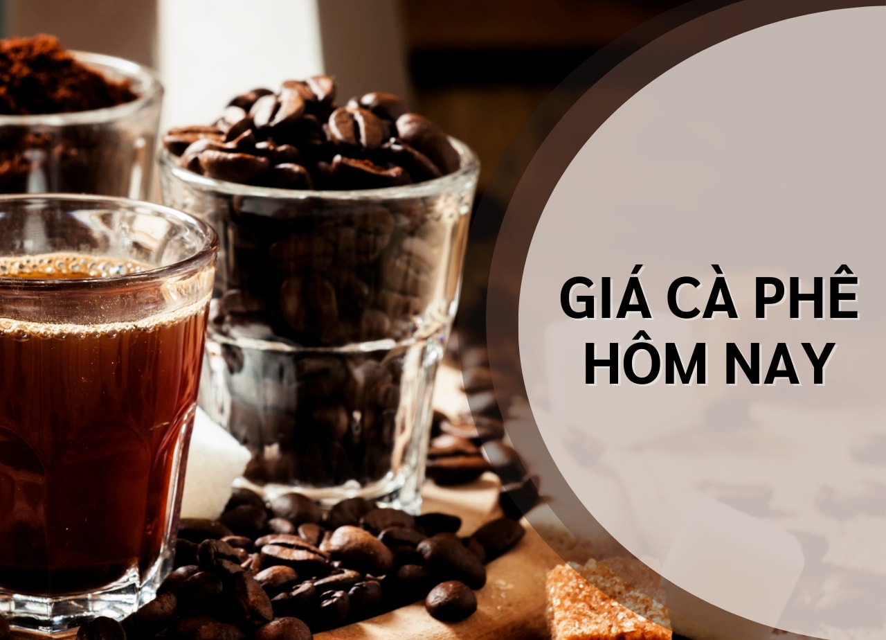 Giá cà phê hôm nay 28/1/2025: Giảm nhẹ do nhà đầu tư chốt lời