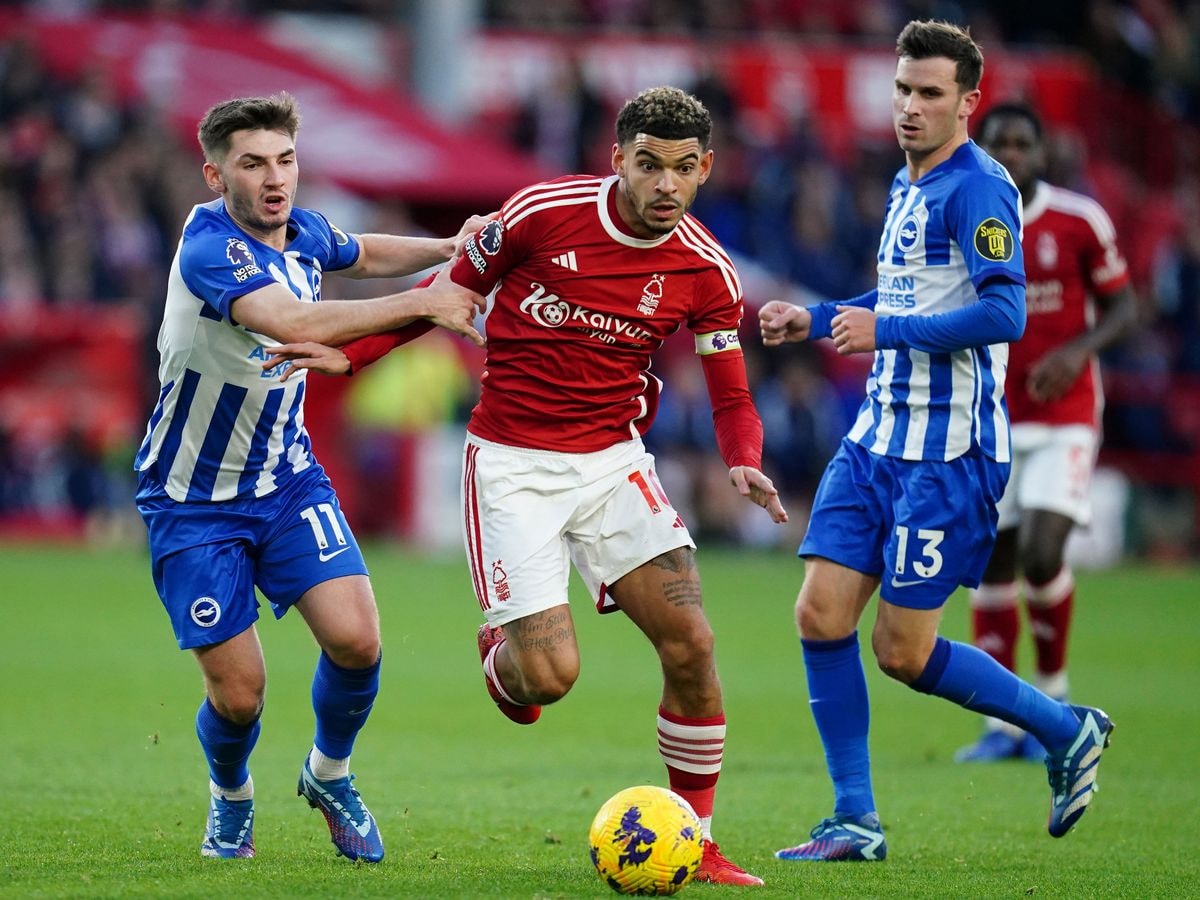 Nottingham Forest player ratings - Elanga and Gibbs-White score but Reds beaten by Brighton - Sarah Clapson - Nottinghamshire Live