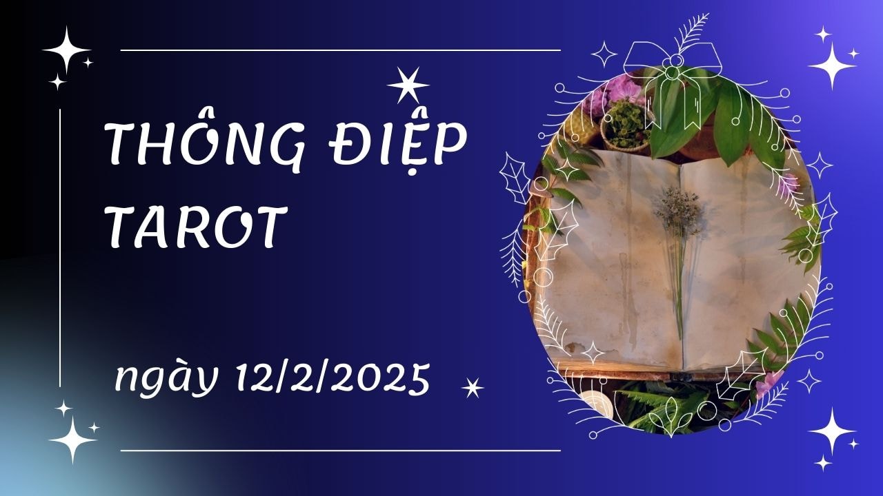 thông điệp tarot ngày 12 2 2025