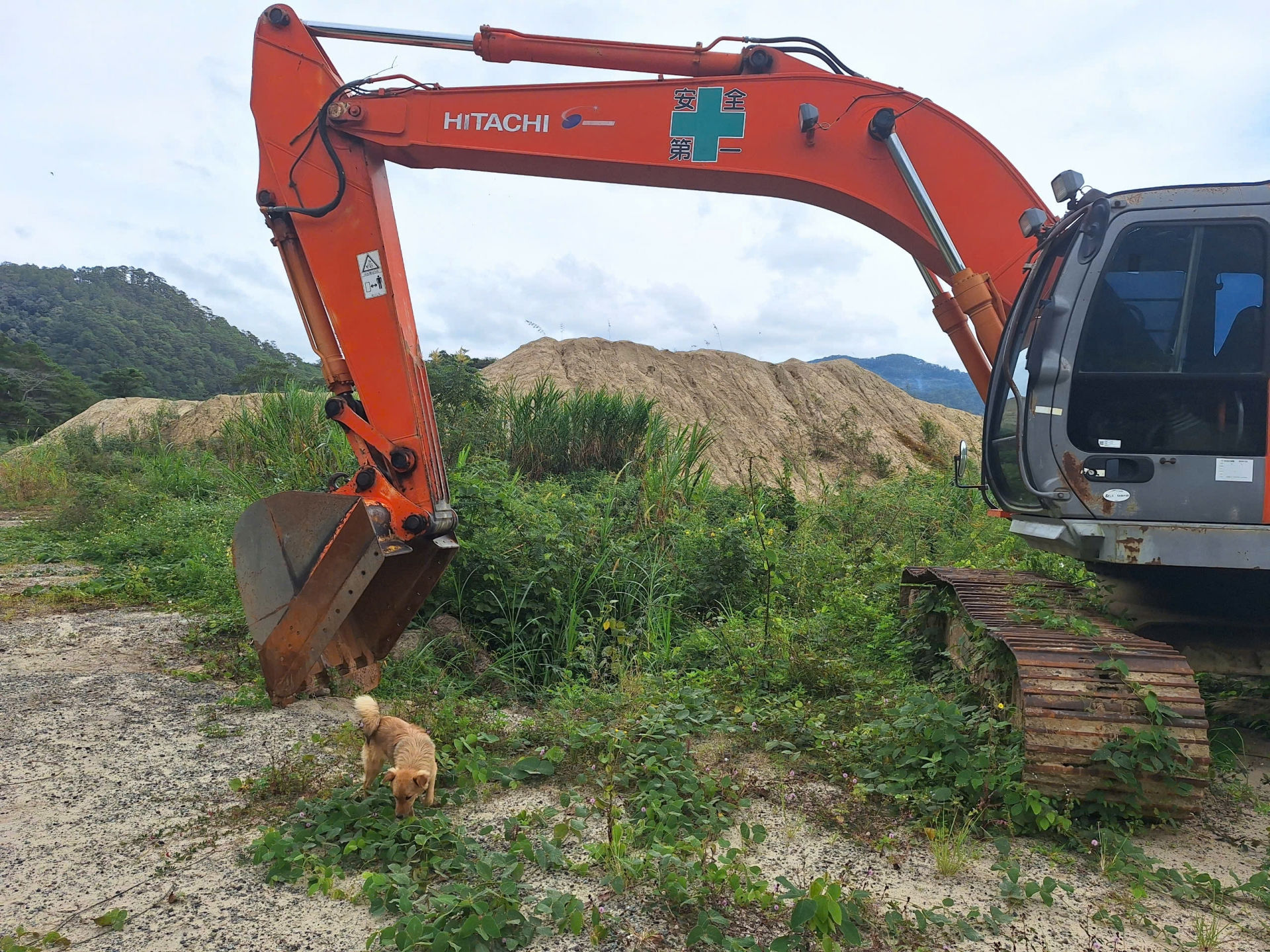 Phương tiện đắp chiếu vì cát thu hồi chưa thể tiêu thụ