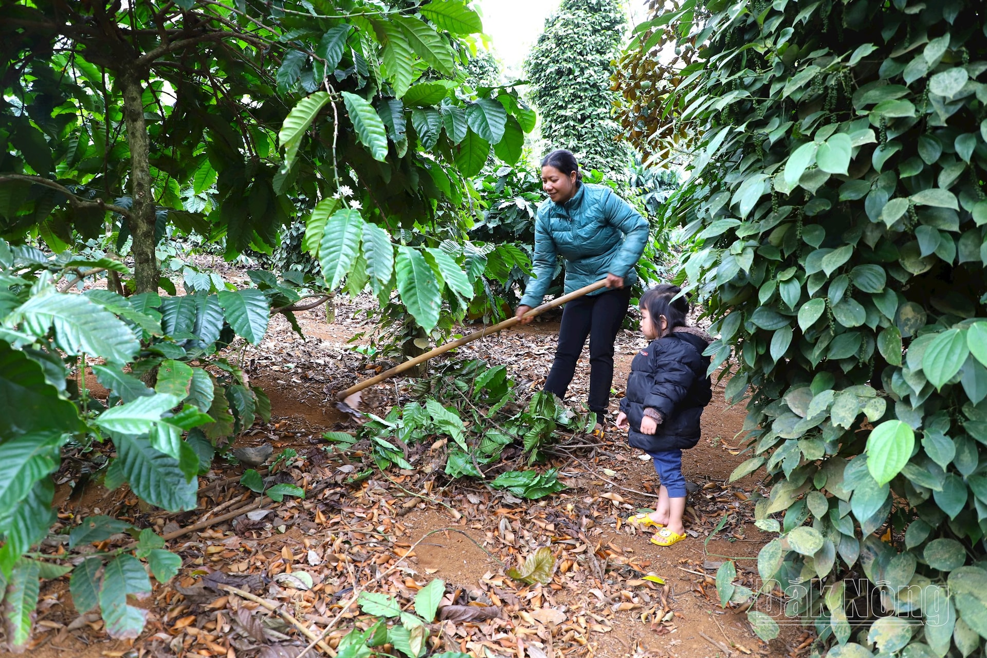 Mỗi ngày đi làm thuê, chị Duy thường phải dẫn theo bé Thảo vì không có ai trông giúp. Bé còn quá nhỏ, chưa đến tuổi đi học, trong khi mẹ lại không thể ở nhà chăm sóc