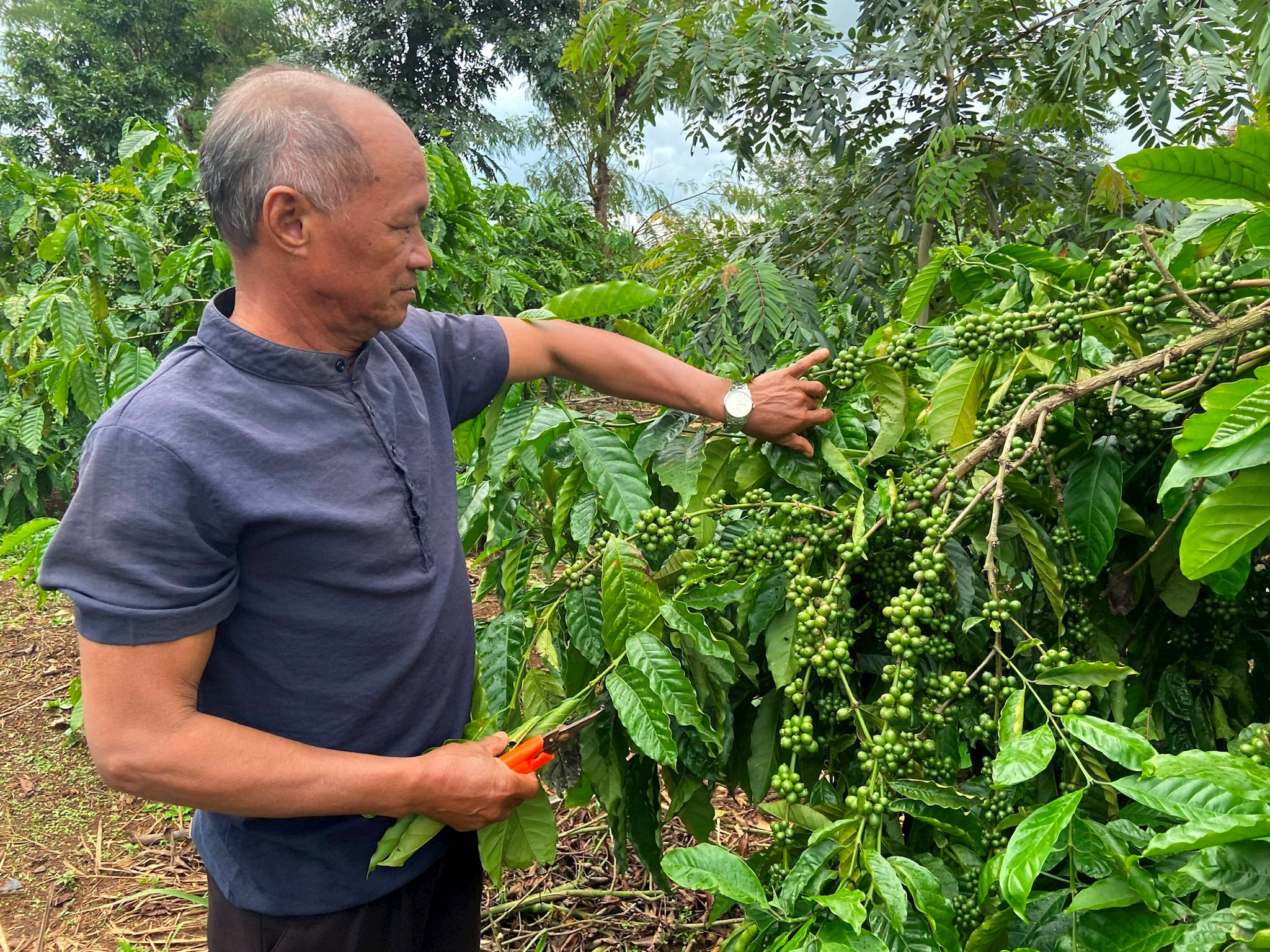 Ông Y Phil - Điểm tựa bon làng ở Đắk Mil