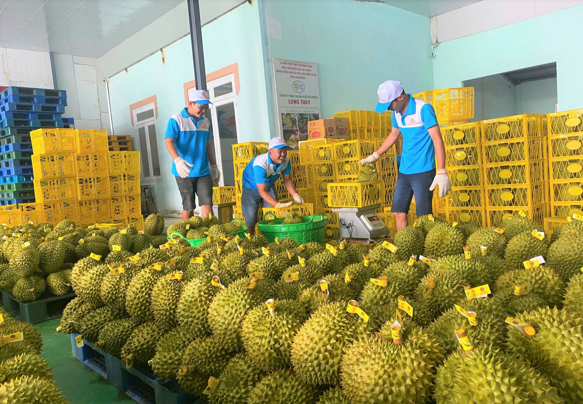 Lâm Đồng hiện có