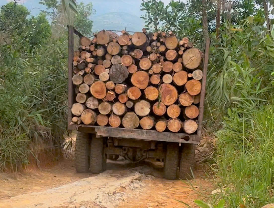 Xe máy cày cỡ lớn chở gỗ lưu thông suốt nhiều tháng qua đã làm tuyến đường dân sinh tại thôn Tà Ngào (xã Lộc Thành, huyện Bảo Lâm) bị hư hỏng nghiêm trọng