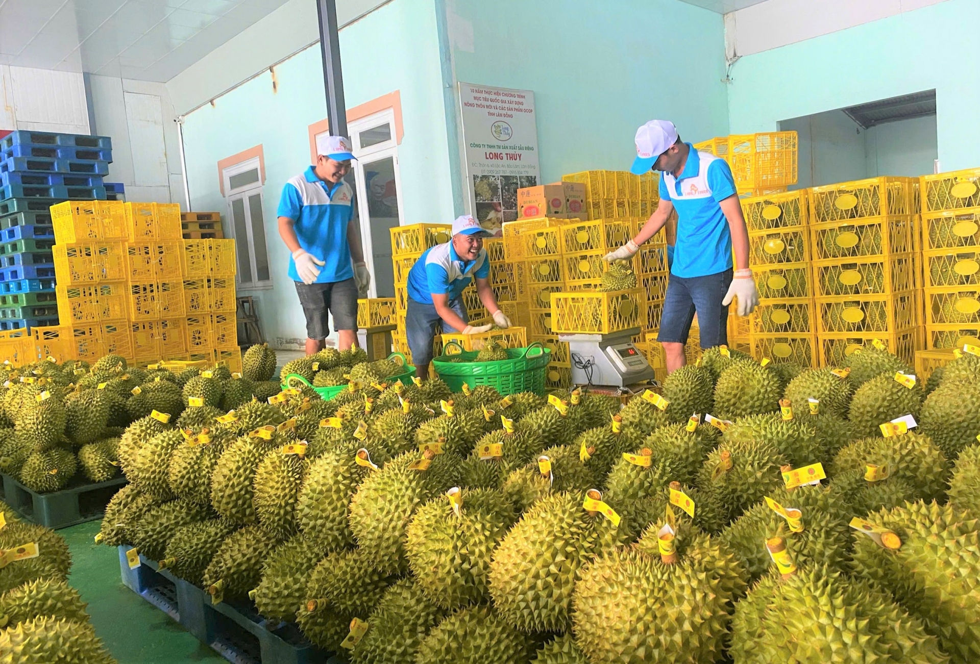 Bộ Nông nghiệp và Môi trường đang chỉ đạo 