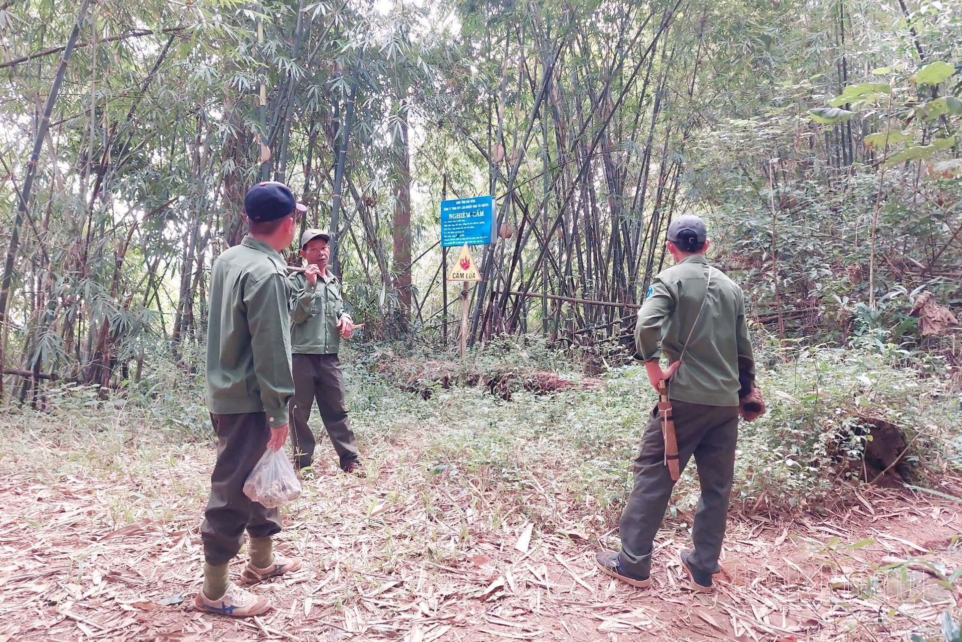 anh nam tay nguyen tuan tra