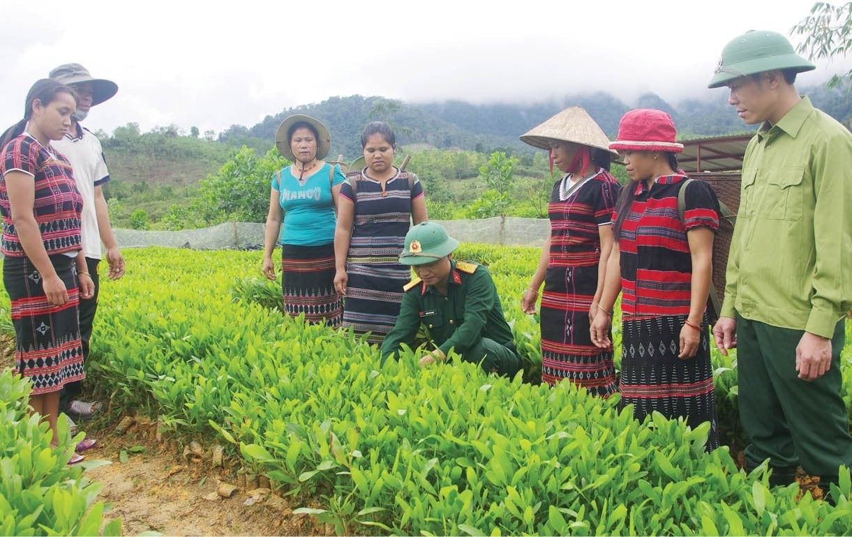 Hướng dẫn thực hiện một số nội dung về giảm nghèo sau sáp nhập xã
