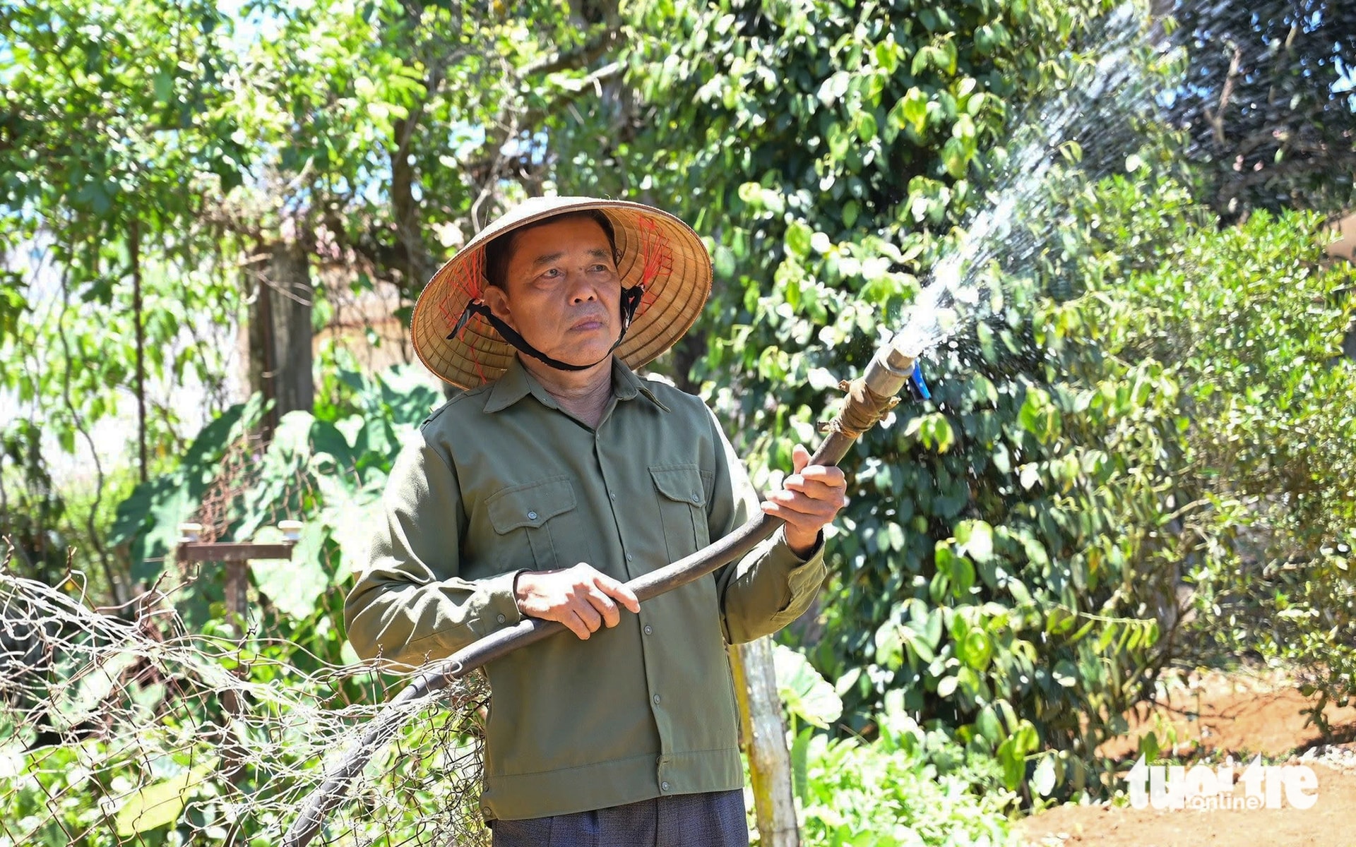 Dân vui khi tỉnh dừng dự án 'treo' 15 năm - Ảnh 2. dự án 'treo' - Ảnh 2.