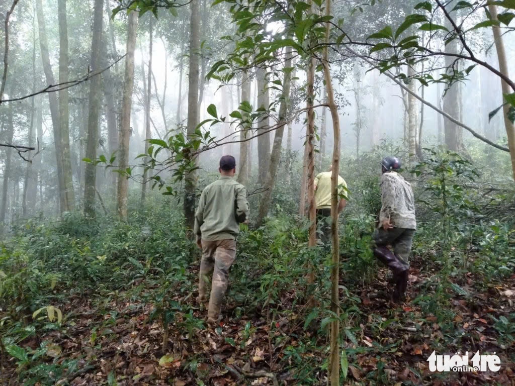 Tà Đùng - Ảnh 1.