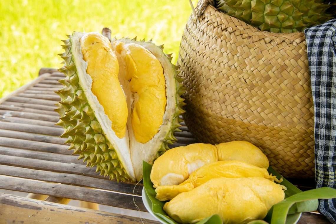 Giá sầu riêng hôm nay 25 Sầu Thái tăng nhẹ trở lại