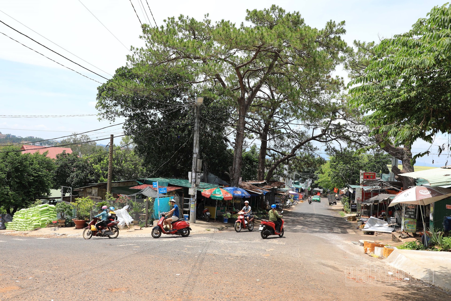 anh 5 352A2646