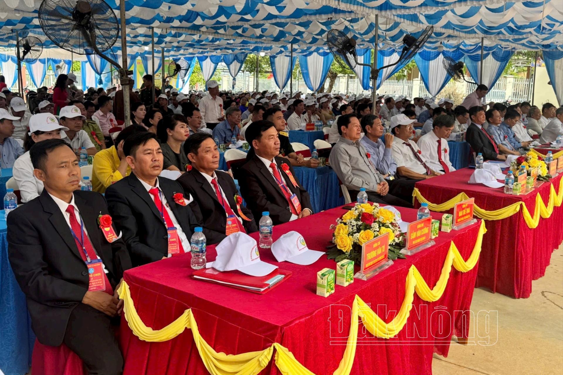 ntm-nam-dong1(1).jpg