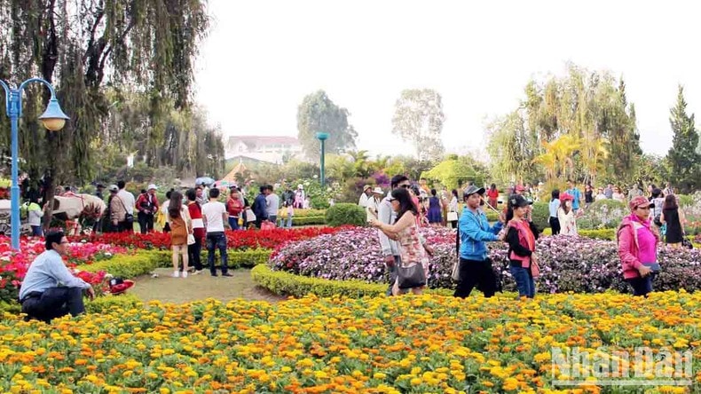Tổng mức bán lẻ hàng hóa và doanh thu dịch vụ tại Lâm Đồng hơn 31,8 nghìn tỷ đồng ảnh 3