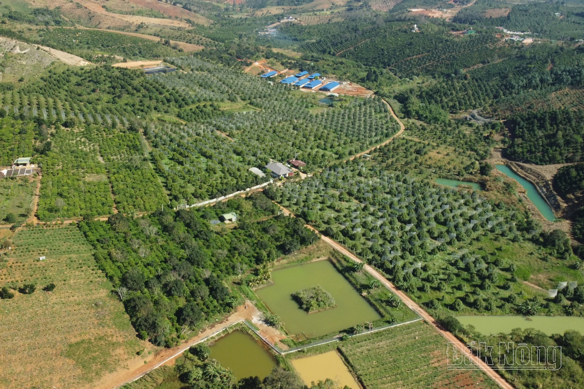 dji_0314-1-.jpg